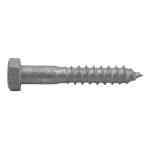 Coach Screw Galvanised