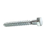 Coach Screw Zinc