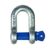 Shackle 10mm Dee Type 1.0T